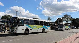 Transporte público gratuito no domingo, 6 de outubro