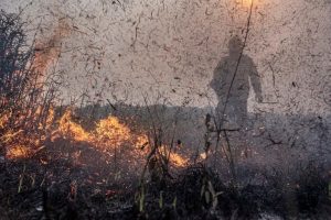 Enfrentar Emergência Climática em Municípios Brasileiros