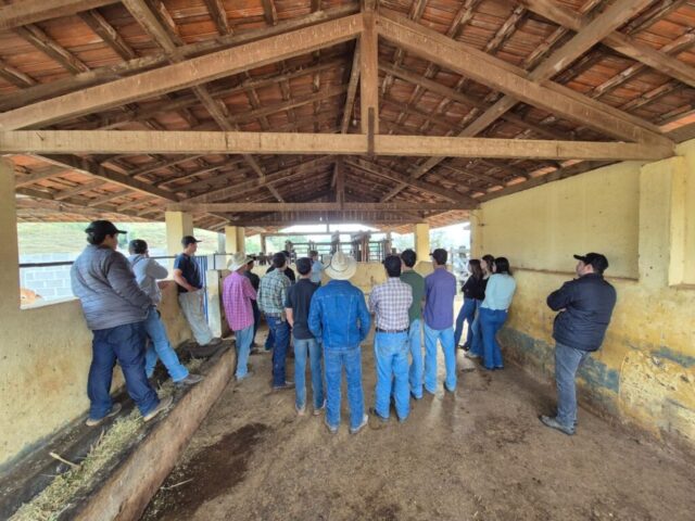 Jovens da Fazenda Recebem Capacitação em Gestão Agrícola