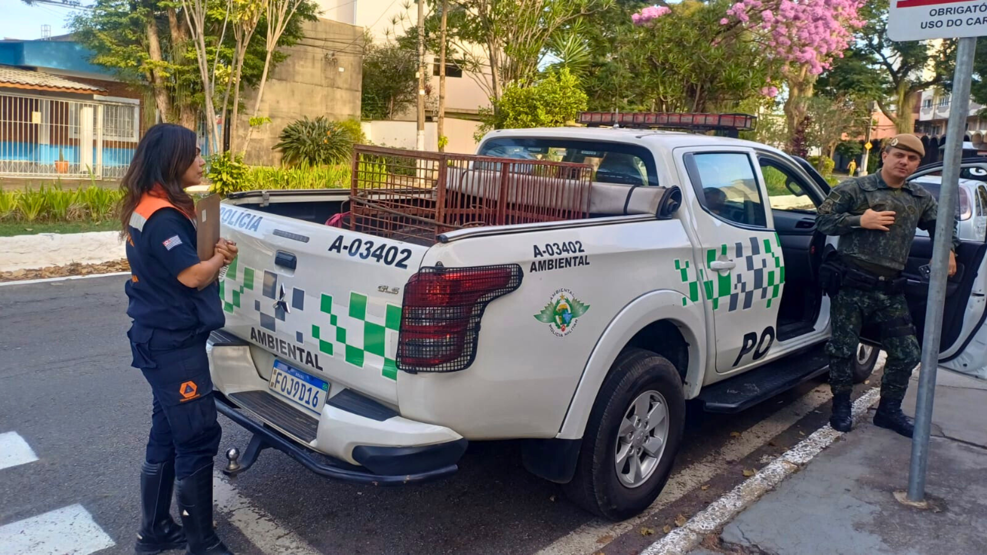Defesa Animal de Pindamonhangaba resgata cães vítimas de maus-tratos em chácara