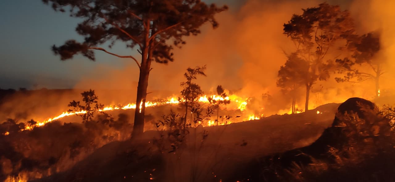 Defesa Civil e Bombeiros combatem incêndio de grande proporção no Parque do Itaim