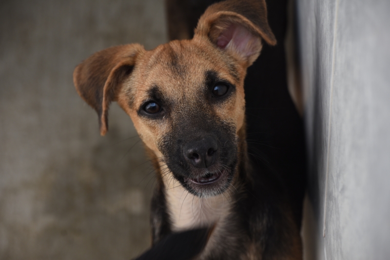 Foto pequena 2 0