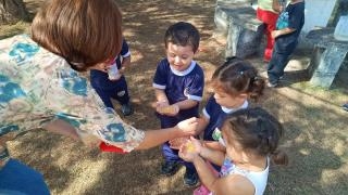 creche taubate 3
