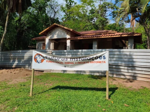 Imagem do WhatsApp de 2025-11-04 à(s) 17.46.14_a0a22d68