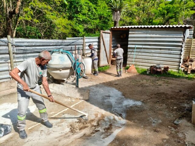 fundo social animal 4