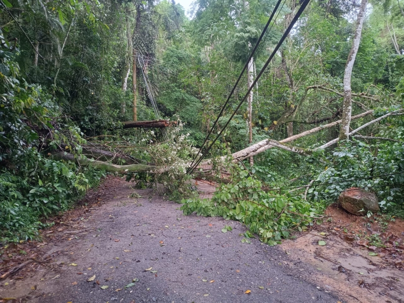 Foto Noticia Principal Grande