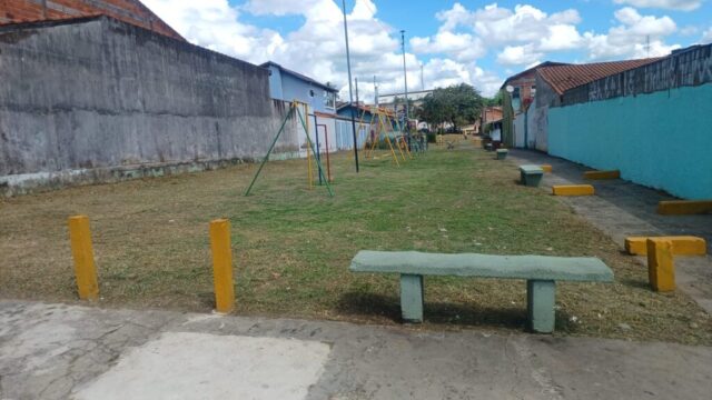 Limpeza, jardinagem e poda avançam com foco no Jardim Eloyna e Cidade Nova 02