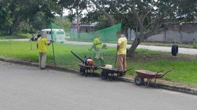Limpeza, jardinagem e poda avançam com foco no Jardim Eloyna e Cidade Nova 03