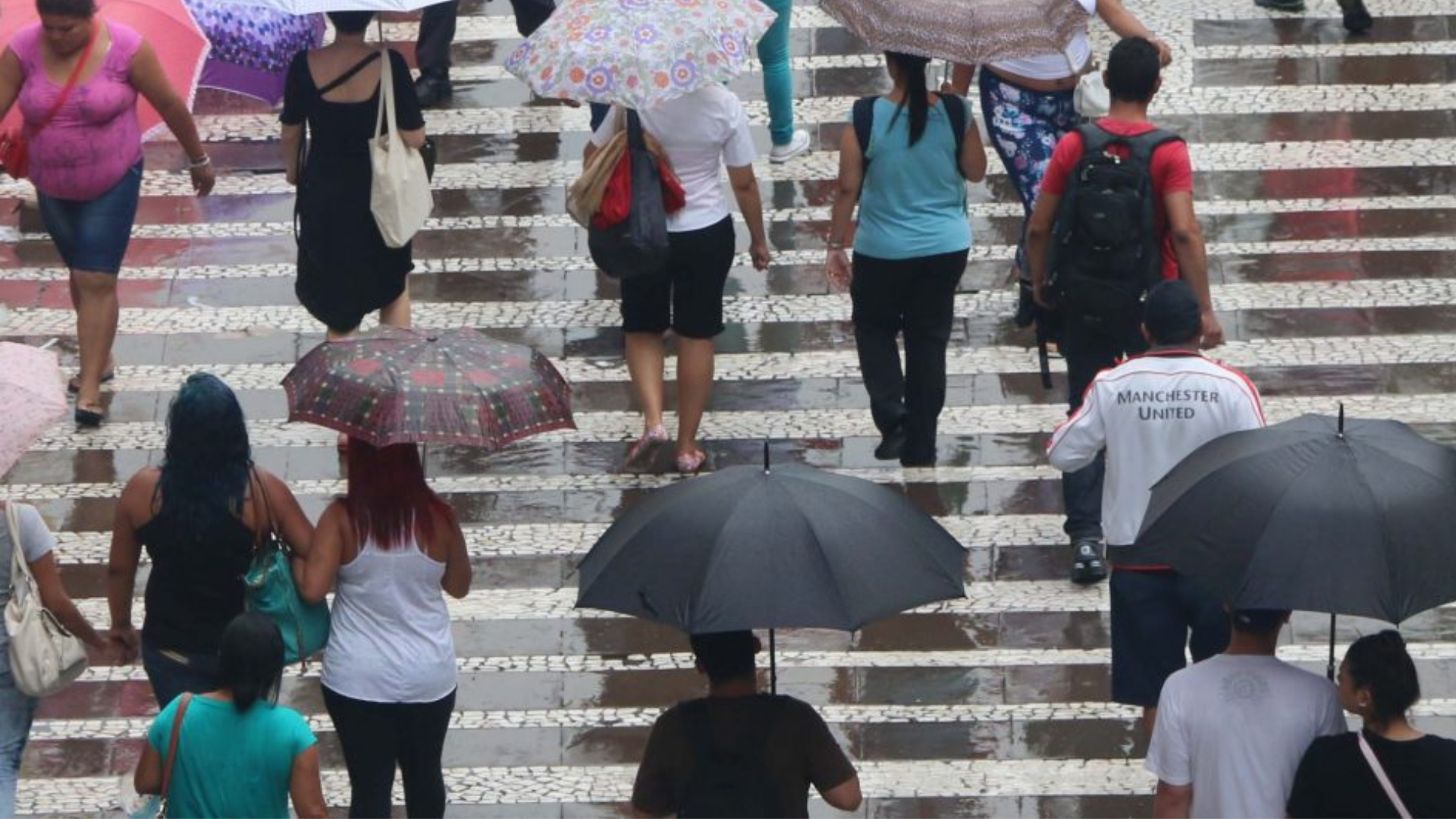 Temporais levam Defesa Civil a disparar 77 alertas em um único dia no Estado de São Paulo