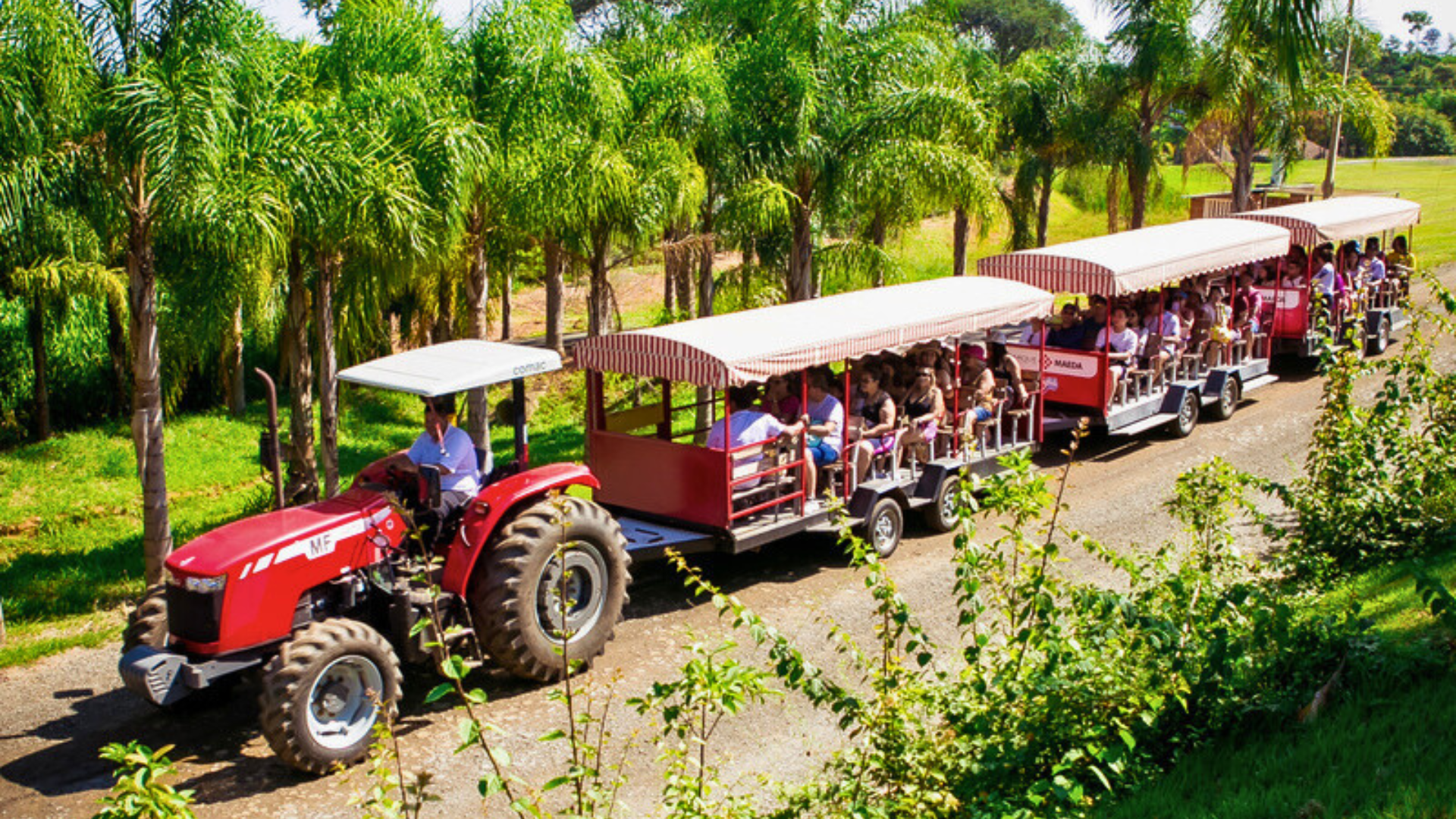 Turismo rural cresce no Brasil e atrai viajantes em busca de natureza e tranquilidade