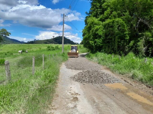 Zona rural recebe poda; serviços próximos à rede elétrica contam com apoio da EDP 01
