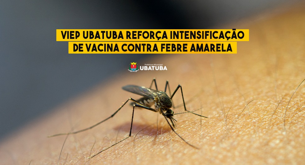 Viep Ubatuba reforça intensificação de vacina contra febre amarela – Prefeitura Municipal de Ubatuba