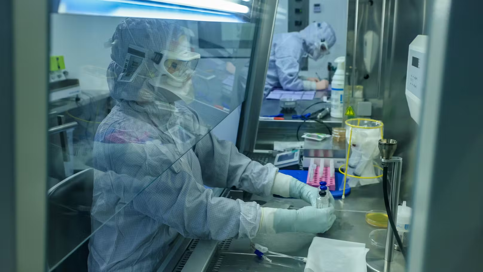 Alta letalidade e ausência de vacina colocam o vírus Nipah sob monitoramento de autoridades internacionais