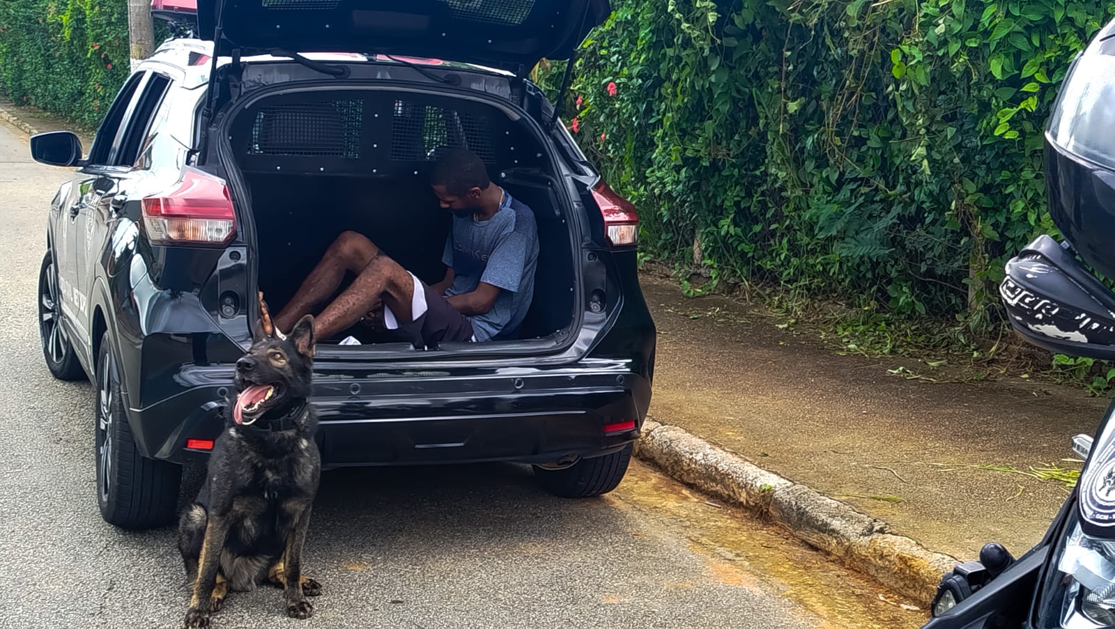 Cão Bolt localiza esconderijo e GCM prende suspeito por tráfico em Pindamonhangaba