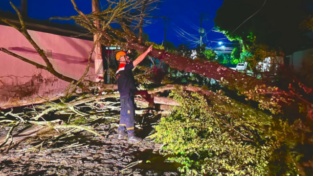 Defesa Civil de Pinda atua de forma rápida e integrada após chuvas e fortes ventos
