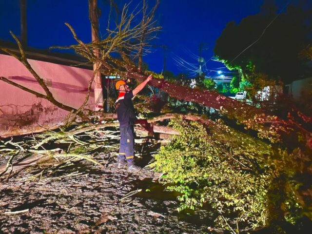 Defesa Civil de Pinda atua de forma rápida e integrada após chuvas e fortes ventos 03