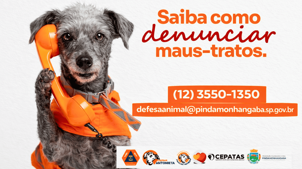 Abril Laranja reforça combate aos maus-tratos contra animais em Pindamonhangaba