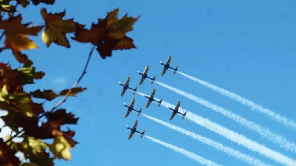 Esquadrilha da Fumaça