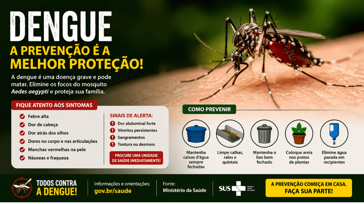 Dengue em Pindamonhangaba: veja sintomas, prevenção e quando procurar atendimento